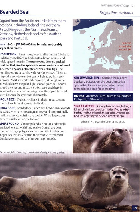 Europe's Sea Mammals - Still, R. ym. 2019